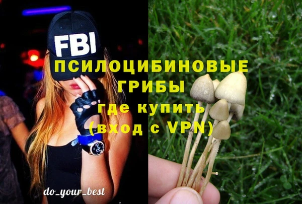 2c-b Кукмор