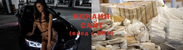 ГАЛЛЮЦИНОГЕННЫЕ ГРИБЫ Кулебаки