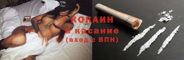 ГАЛЛЮЦИНОГЕННЫЕ ГРИБЫ Кулебаки