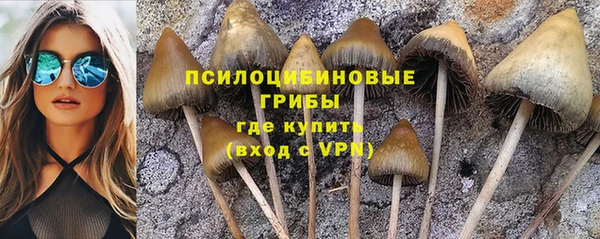 MESCALINE Лагань