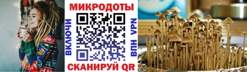 Галлюциногенные грибы Psilocybe  что такое наркотик  Михайловка 